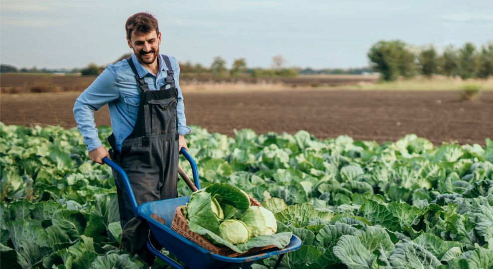 Man working on a farm