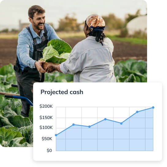 Farmers harvesting plants