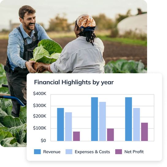 Financial highlights chart