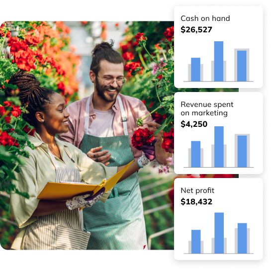 Visual reports and presentations